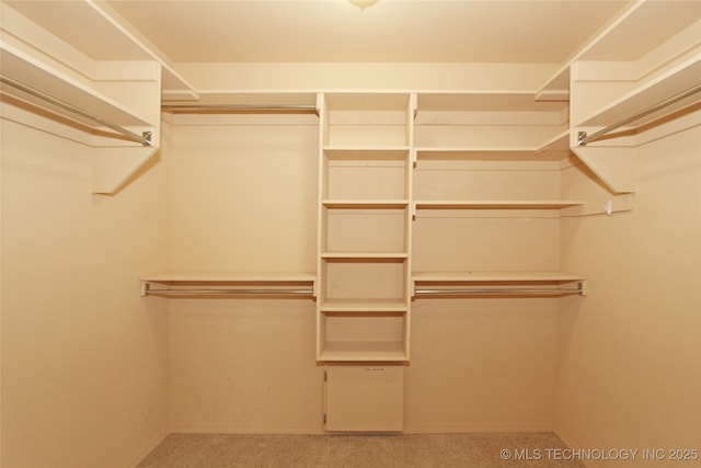 spacious closet with carpet