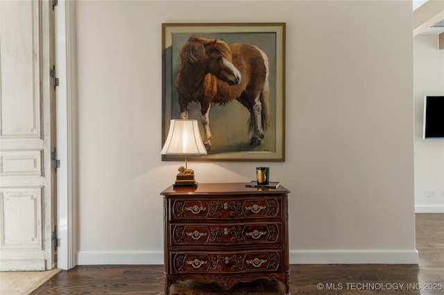 interior details featuring baseboards and wood finished floors