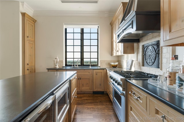 kitchen with crown molding, dark countertops, a sink, stainless steel appliances, and custom exhaust hood
