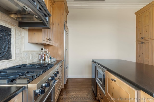 kitchen featuring ornamental molding, decorative backsplash, dark countertops, custom range hood, and stainless steel appliances