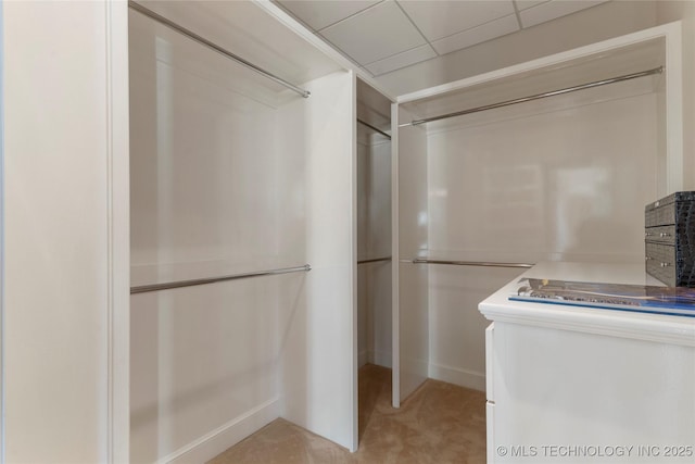 walk in closet featuring light carpet