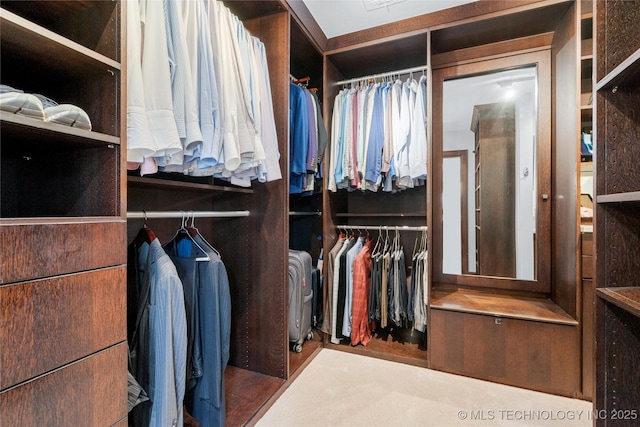 view of walk in closet