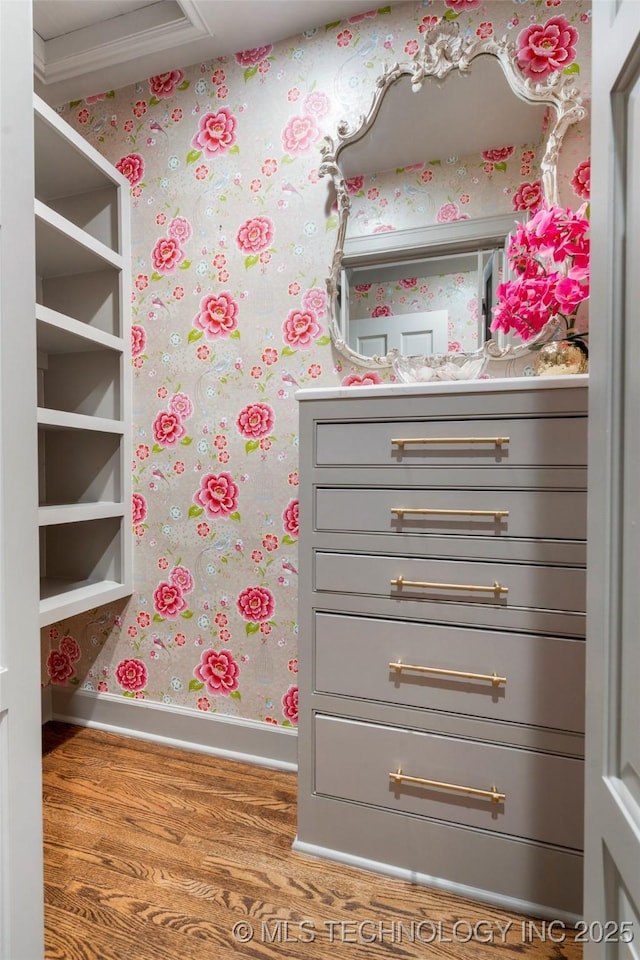 view of closet