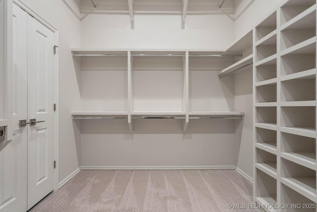 spacious closet featuring carpet floors