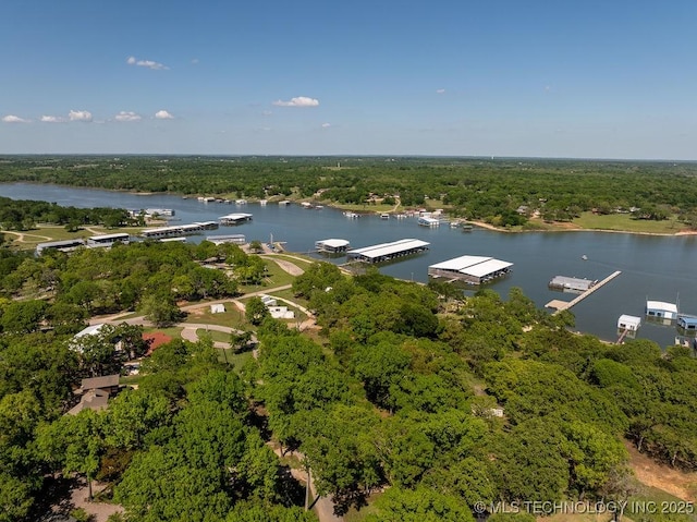 aerial view featuring a water view and a forest view