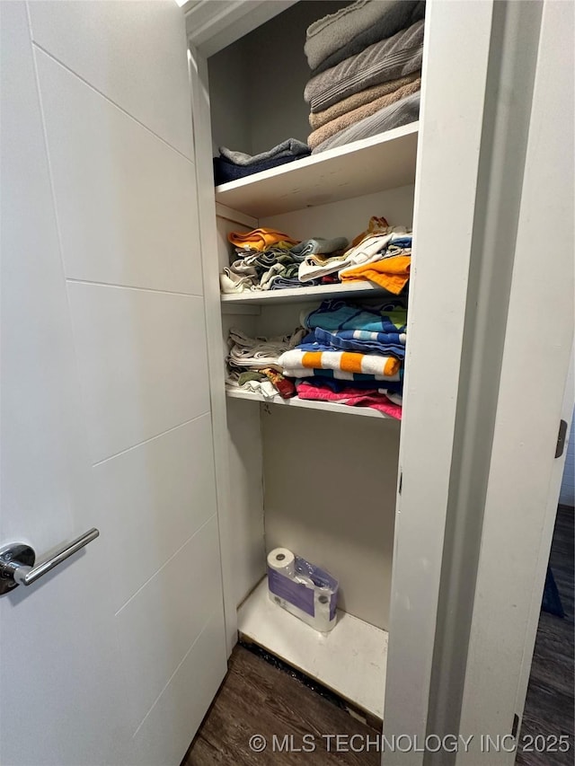 view of closet