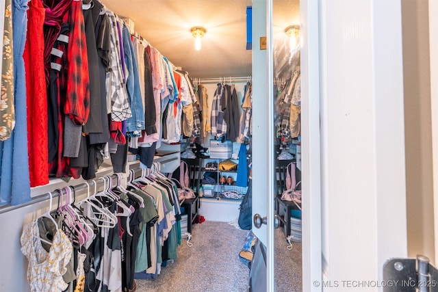 walk in closet featuring carpet floors