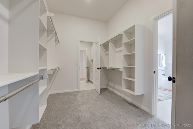 spacious closet with light carpet