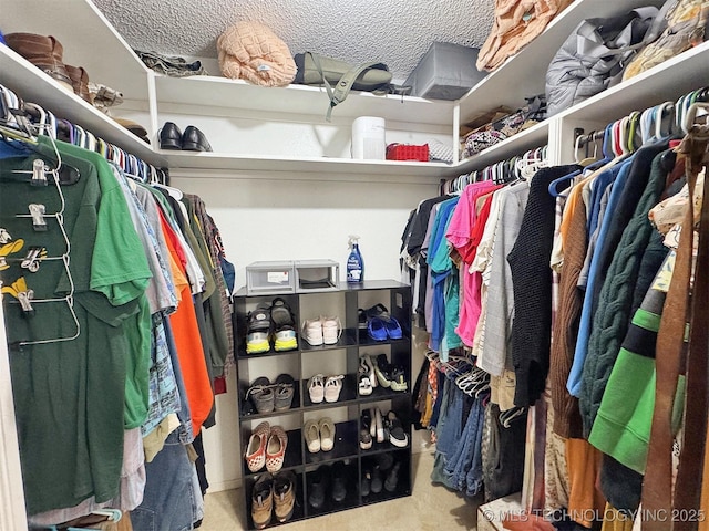view of walk in closet