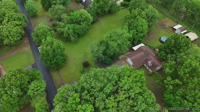 bird's eye view