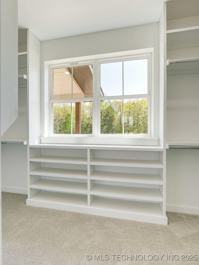 walk in closet featuring carpet floors