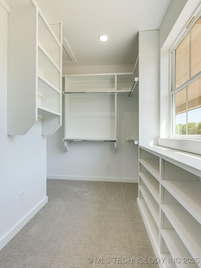 spacious closet with carpet