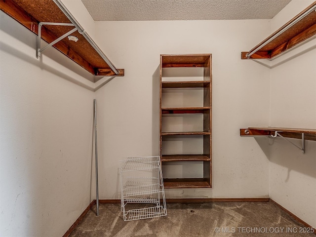 walk in closet featuring carpet