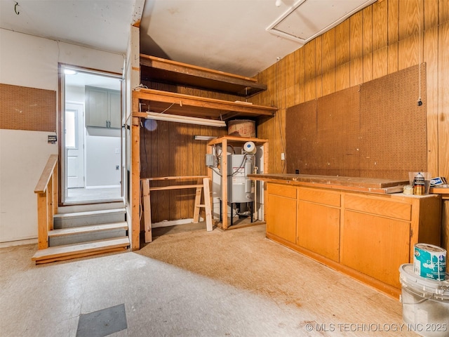 basement with wood walls