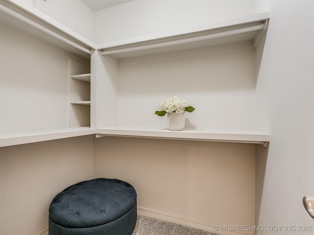 interior space featuring carpet flooring