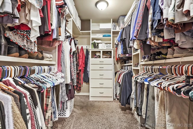 spacious closet with carpet flooring
