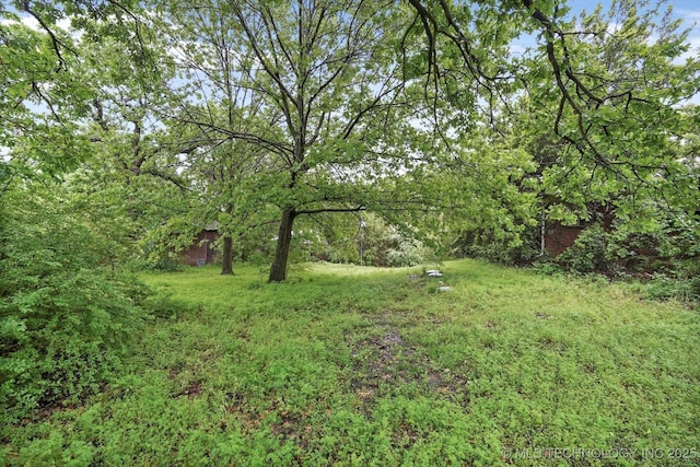 view of yard featuring a view of trees
