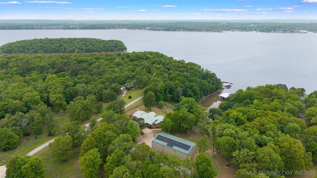 bird's eye view with a water view and a view of trees