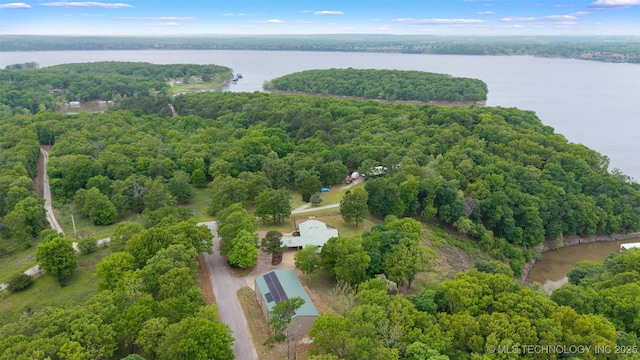 53402 E 332nd Loop, Jay, OK 74346 - bird's eye view of a nearby body of water and a forest