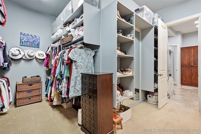 walk in closet featuring carpet flooring