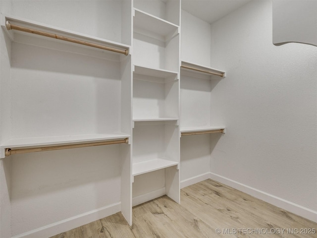 spacious closet featuring wood finished floors