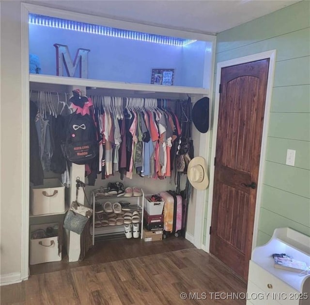 view of closet