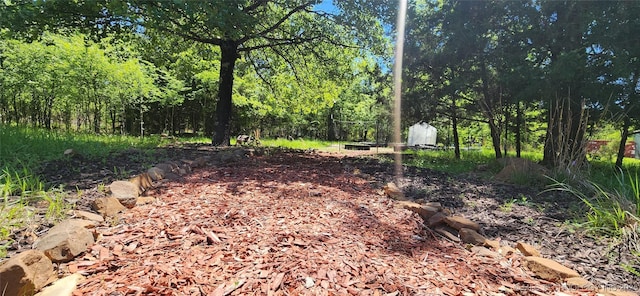 view of nature