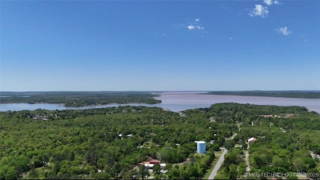 birds eye view of property featuring a water view and a wooded view