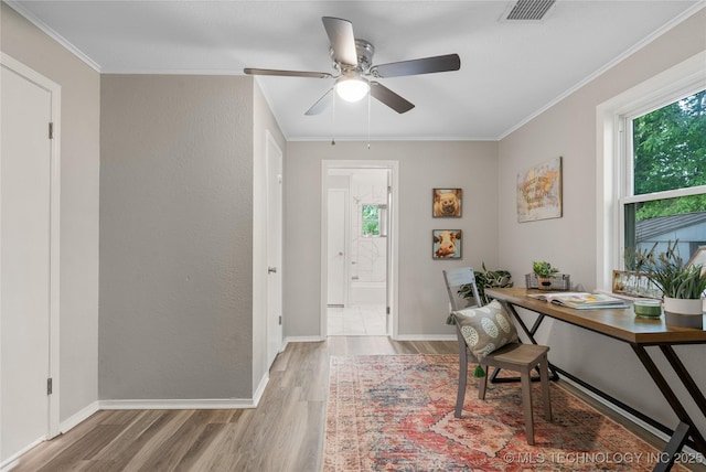 office featuring a ceiling fan, baseboards, light wood-type flooring, visible vents, and ornamental molding