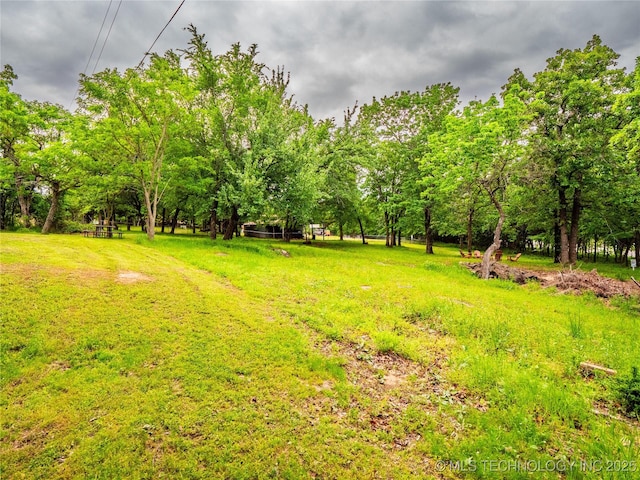 view of yard