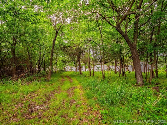 view of landscape with a wooded view
