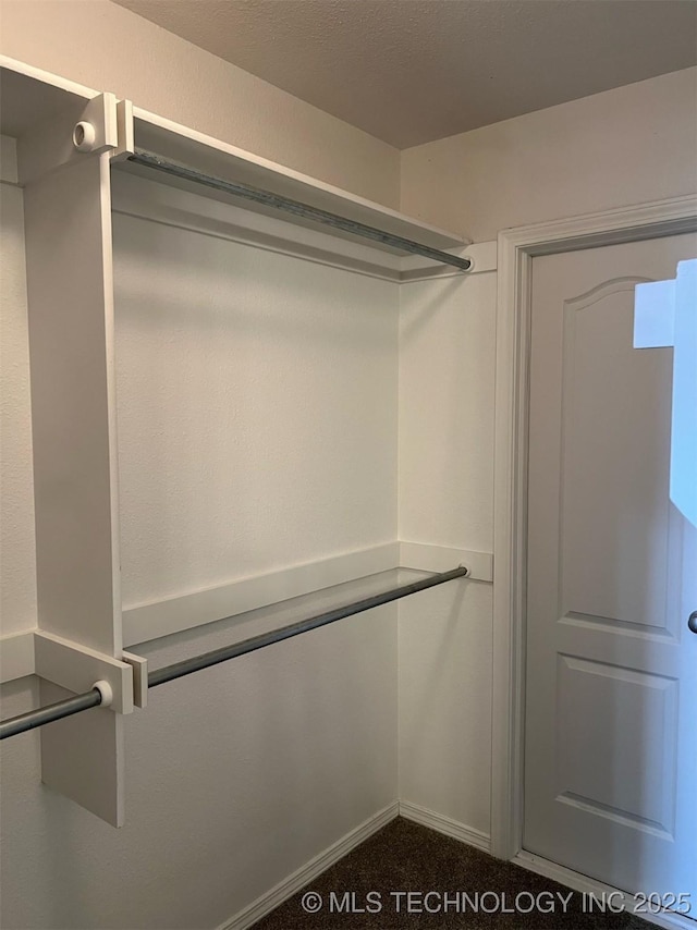 view of walk in closet