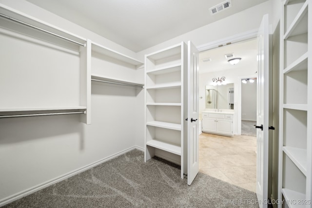 walk in closet featuring carpet floors and a sink