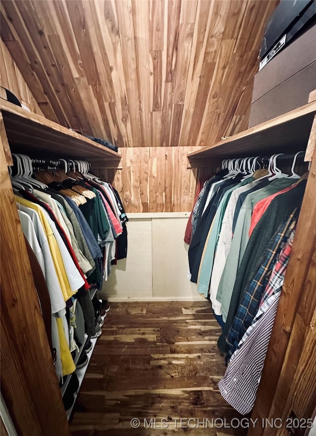 walk in closet featuring hardwood / wood-style flooring