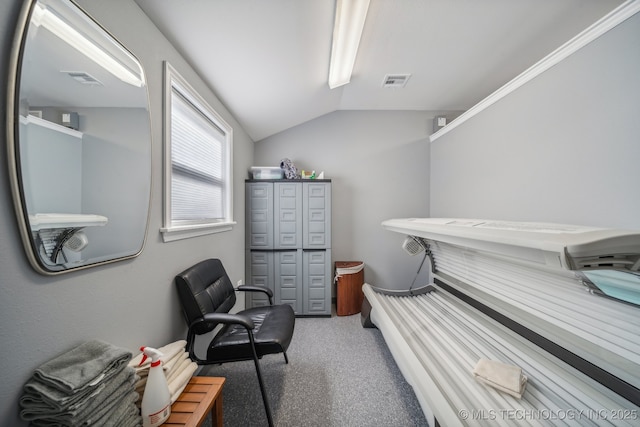 9998 E 460th Rd, Claremore, OK 74017 - spacious closet featuring lofted ceiling, a tanning bed, and carpet floors
