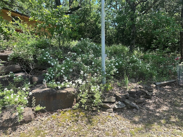 1082 Gaines Creek Loop, Eufaula, OK 74432 - view of undeveloped land