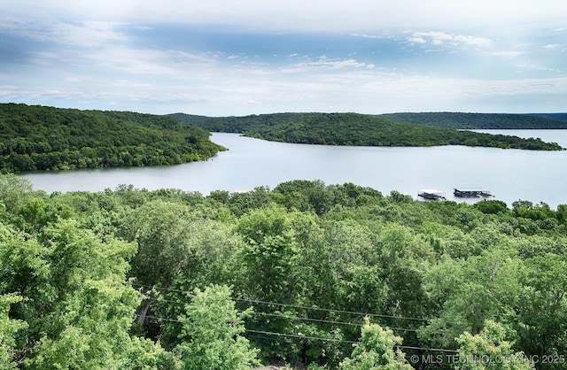 property view of water featuring a view of trees