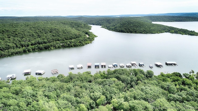 aerial view featuring a water view and a forest view