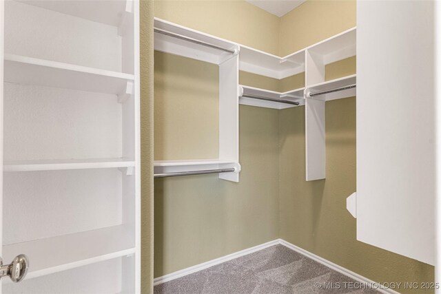 1007 W Beech St, Skiatook, OK 74070 - walk in closet featuring carpet