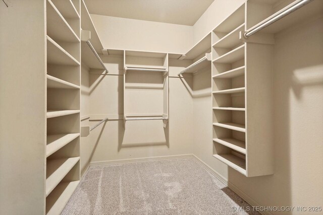 spacious closet with carpet