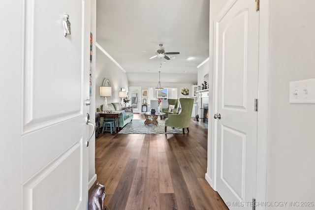 foyer entrance featuring ornamental molding, dark wood-style flooring, a ceiling fan, and a warm lit fireplace