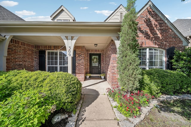 309 E 125th Ct S, Jenks, OK 74037 - property entrance featuring brick siding