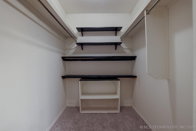 spacious closet with carpet floors
