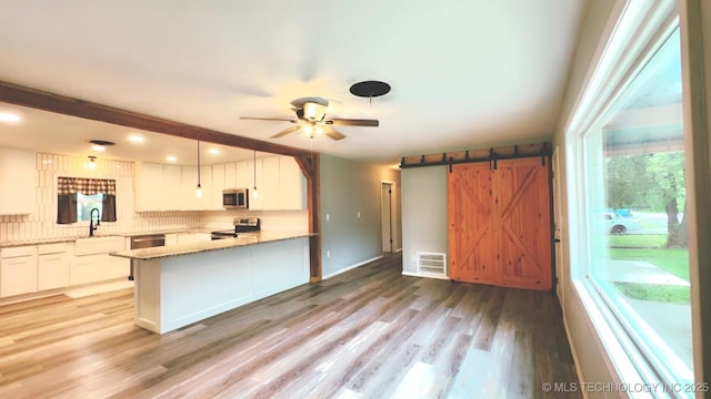 kitchen featuring appliances with stainless steel finishes, plenty of natural light, light wood-style flooring, and a barn door
