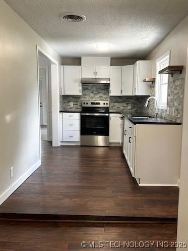kitchen featuring a textured ceiling, visible vents, a sink, electric stove, and under cabinet range hood