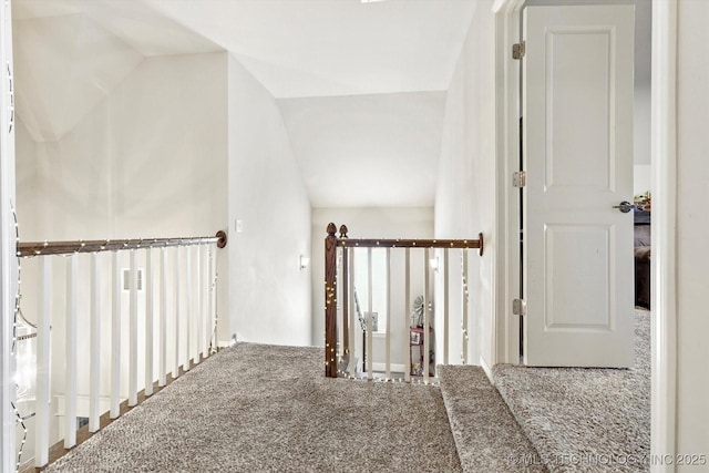 hallway with carpet floors
