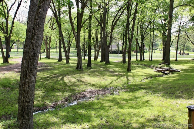 view of yard
