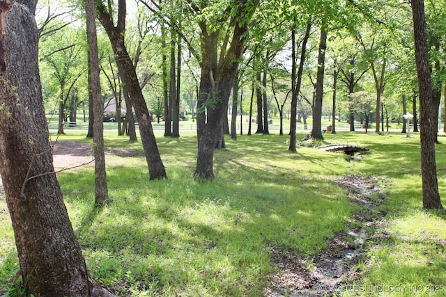 1005 N Osage St, Chouteau, OK 74337 - view of grassy yard