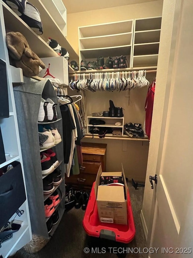 view of spacious closet