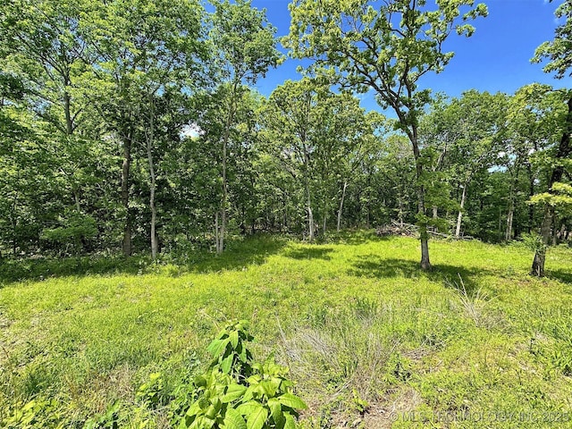 view of nature featuring a forest view